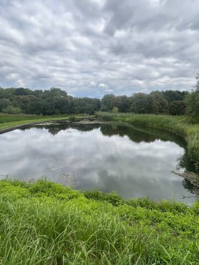 Bereketli Yeşil Sebzelerle çevrili Huzurlu Göl Manzarası