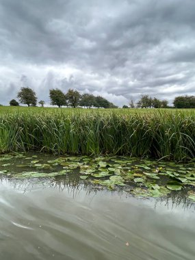 Sebzeli Serene Riverbank ve Peyzaj Bulutlu Gökyüzü