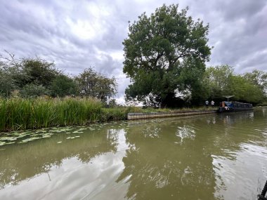 Sebzeli Serene Riverbank ve Peyzaj Bulutlu Gökyüzü
