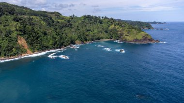 Tropik orman ve denizin çok güzel bir kombinasyonu.