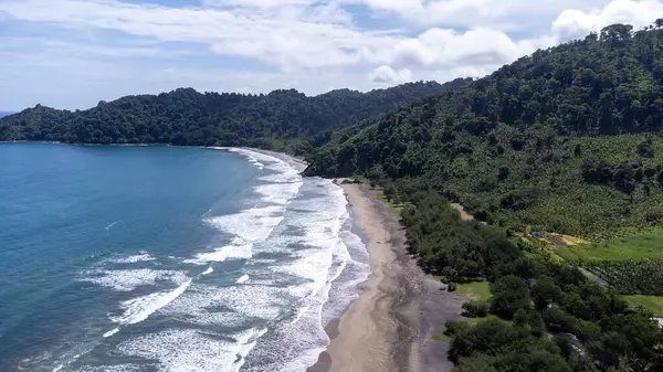 Yandan Jolosutro Sahili 'ndeki dalgalar, kum ve yeşil ağaçlar görünüyor.