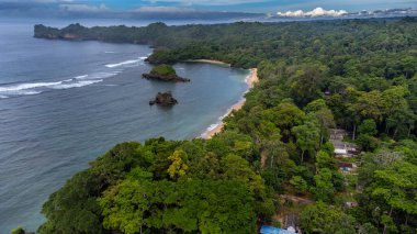 Kondang Merak Sahili 'nin yeşil tropikal ağaçları ve birkaç yerleşim yeri olan havadan görünüşü. Doğu Java - Endonezya