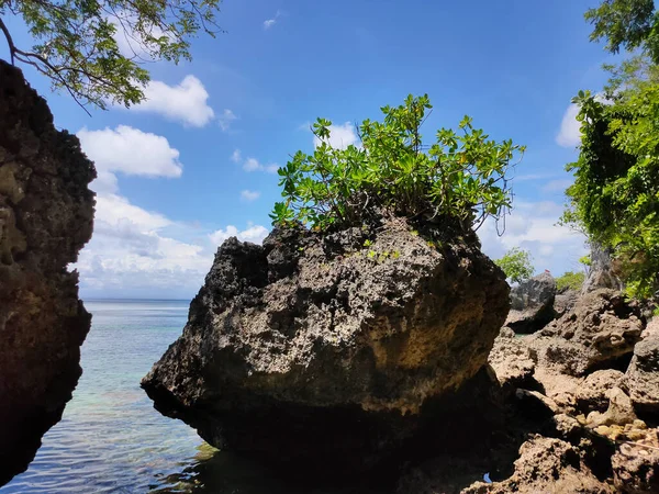 Padang Padang Sahili, Bali Endonezya 'daki taşların dokusu büyük ve kıyı şeridinde yer alıyor.