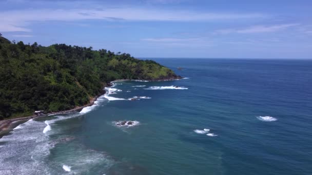 Вид Воздуха Пантай Жолосутро Восточная Ява Индонезия Вид Пляжа Зеленые — стоковое видео