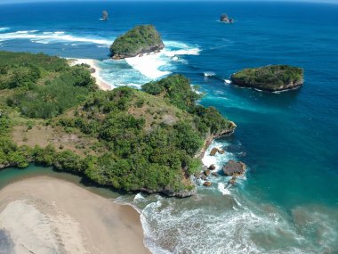 Ungapan Sahili Doğu Java, Endonezya, Tepeler ve mavi deniz manzaralı tropikal bitkilerdir..