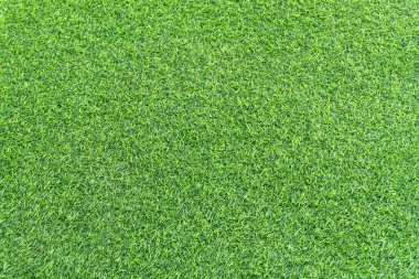 Yeşil Çimenlerin Güzel Arkaplanı