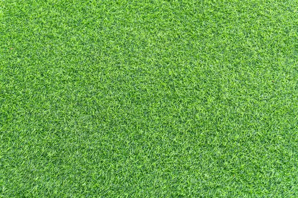 Yeşil Çimenlerin Güzel Arkaplanı