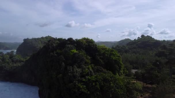 Pemandangan Udara Dari Pantai Batu Bengkung Yang Terletak Malang Jawa — Stok Video