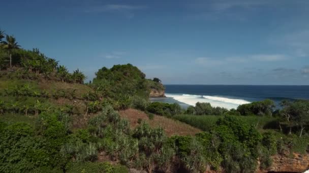 Вид Воздуха Пляж Нгантеб Южном Маланге Восточная Ява Индонезия — стоковое видео