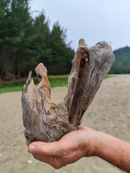 Eşsiz ahşap doku şekli