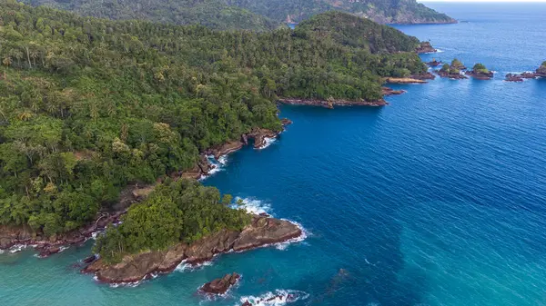 Lenggoksono Sahili 'nde yemyeşil ormanı ve mavi okyanusu olan tropik bir ada kıyı şeridinin havadan görünüşü.