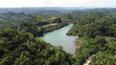 Nehir ve Doğu Java, Endonezya 'daki Küçük Köprü ile Tropikal Orman Üzerinde İHA Çekimi