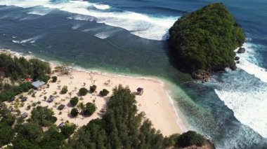 Pürüzsüz Drone Virajı Tropikal Sahil Hattı Doğu Java, Endonezya