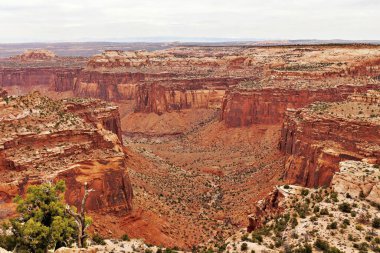 Kanyonların üzerinde gün batımı, Canyonlands Ulusal Parkı, Moab, Utah.