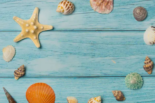 Mavi ahşap zemin üzerinde kabuk çerçeve