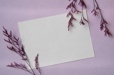 Beyaz kağıt listesi ve mor arka planda çiçekleri olan bir model. Düz yatış, üst görünüm