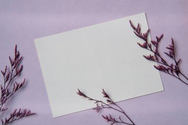 Beyaz kağıt listesi ve mor arka planda çiçekleri olan bir model. Düz yatış, üst görünüm