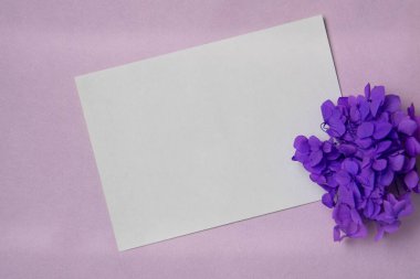 Beyaz kağıt listesi ve mor arka planda çiçekleri olan bir model. Düz yatış, üst görünüm