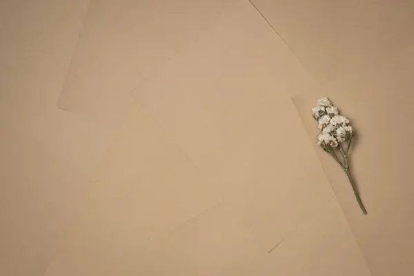 Kağıt arkaplanda çiçekler. Eski model. Düz yerde, üst tarafta. Boşluğu kopyala