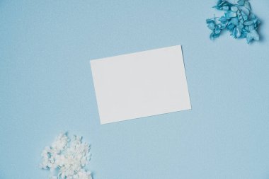 Beyaz kağıt listesi ve mavi arka planda çiçekleri olan bir model. Düz yatış, üst görünüm
