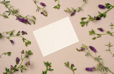 Yukarıdan bej arka planda çiçek çerçevesi olan kağıt boş bir sayfa. Metin için boşluk