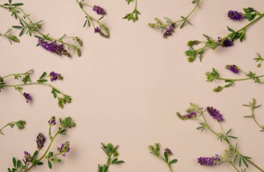 Bej arka planda çiçek çerçevesi. Düz yerde, üst tarafta. Boşluğu kopyala