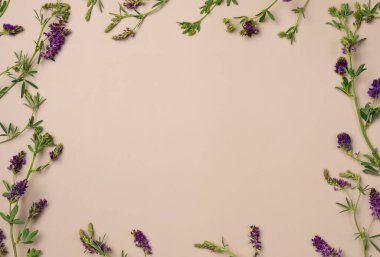 Bej arka planda çiçek çerçevesi. Düz yerde, üst tarafta. Boşluğu kopyala