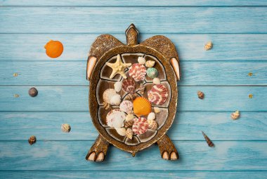 Deniz yıldızı ve kaplumbağa şeklinde dekoratif bir tabakta bir sürü deniz kabuğu. Mavi ahşap arka plan. Düz yatış, üst görünüm