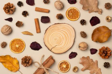 Sonbahar kompozisyonu. Podyum, kaide, sunum boş maket yapraklar, fındık, koniler, kurutulmuş meyveler, bej arka planda tarçın çubukları. Üst manzara, düz uzanma