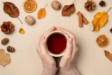 Bej arka planda bir fincan çay tutan kadın eller. Sonbahar kompozisyonu. Düz yatış, üst görünüm