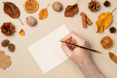 Bir kadının eli mektup yazar. Sonbahar kompozisyonu. Üst görünüm, metin için boşluk