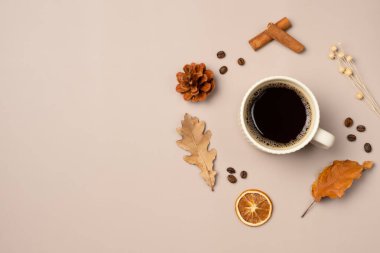 Sonbahar kompozisyonu, kahve, yaprak, koni, kurutulmuş meyve, bej arka planda tarçın çubukları. Üst görünüm, alanı kopyala