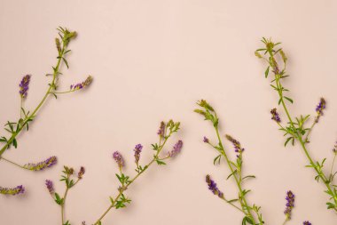 Bej arka planda çiçekler. Düz yatış, üst görünüm