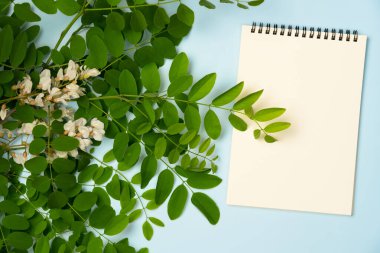 Mavi arka planda boş bir not defteri olan Akasya şubesi. Düz yatış, üst görünüm