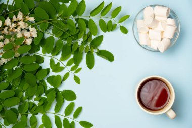 Mavi arka planda bir fincan çay ve marşmelovlu akasya dalı. Düz yatış, üst görünüm