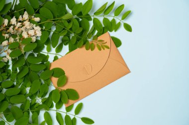 Mavi arka planda bir zarf olan Akasya şubesi. Düz yatış, üst görünüm