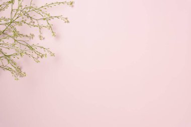 Pembe arka planda çiçekler. Düz yerde, üst tarafta. Boşluğu kopyala