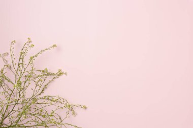 Pembe arka planda çiçekler. Düz yerde, üst tarafta. Boşluğu kopyala