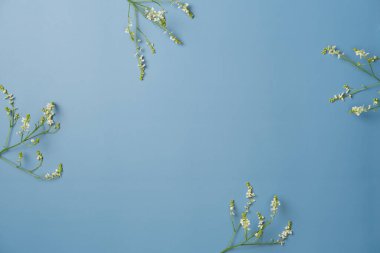 Mavi arka planda çiçek çerçevesi. Düz yerde, üst tarafta. Boşluğu kopyala