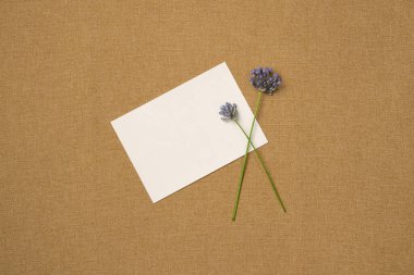 Kağıt boş çarşaf ve kumaş kaplamalı çiçekler. Düz yatış, üst görünüm