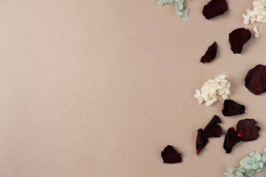 Bej arka planda çiçekli gül yaprakları. Düz yerde, üst tarafta. Boşluğu kopyala