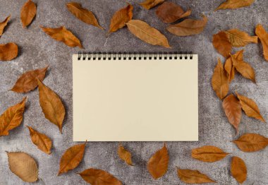 Gri arka planda sonbahar yaprakları olan boş bir defter. Düz yatış, üst görünüm.