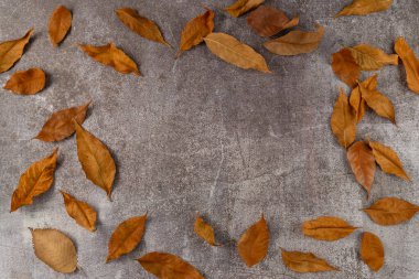 Gri arka planda sonbahar yapraklarının çerçevesi. Düz yerde, üst tarafta. Boşluğu kopyala