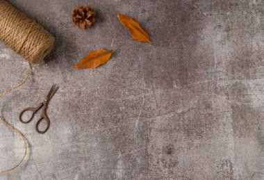 Makas, sicim, sonbahar yaprakları, gri arka planda koni. Düz yerde, üst tarafta. Boşluğu kopyala