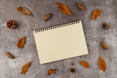 Güz yaprakları, koniler ve gri arka planda meşe palamutları olan boş bir defter. Düz yatış, üst görünüm.