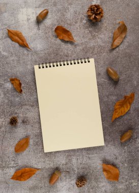 Güz yaprakları, koniler ve gri arka planda meşe palamutları olan boş bir defter. Düz yerde, üst tarafta. Dikey