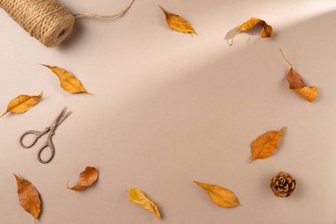 Sonbahar yaprakları, koniler, makas, bej arka planda sicim. Düz yerde, üst tarafta. Boşluğu kopyala