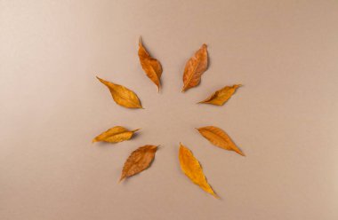 Bej arka plandaki yapraklardan sonbahar çerçevesi. Düz yatış, üst görünüm.