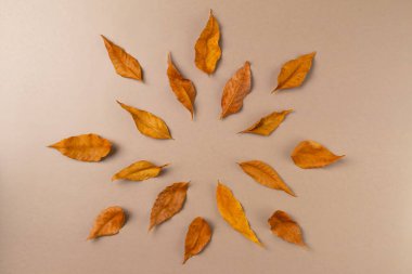 Bej arka plandaki yapraklardan sonbahar çerçevesi. Düz yatış, üst görünüm.