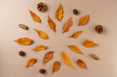 Bej arka plandaki yapraklardan sonbahar çerçevesi. Düz yatış, üst görünüm.